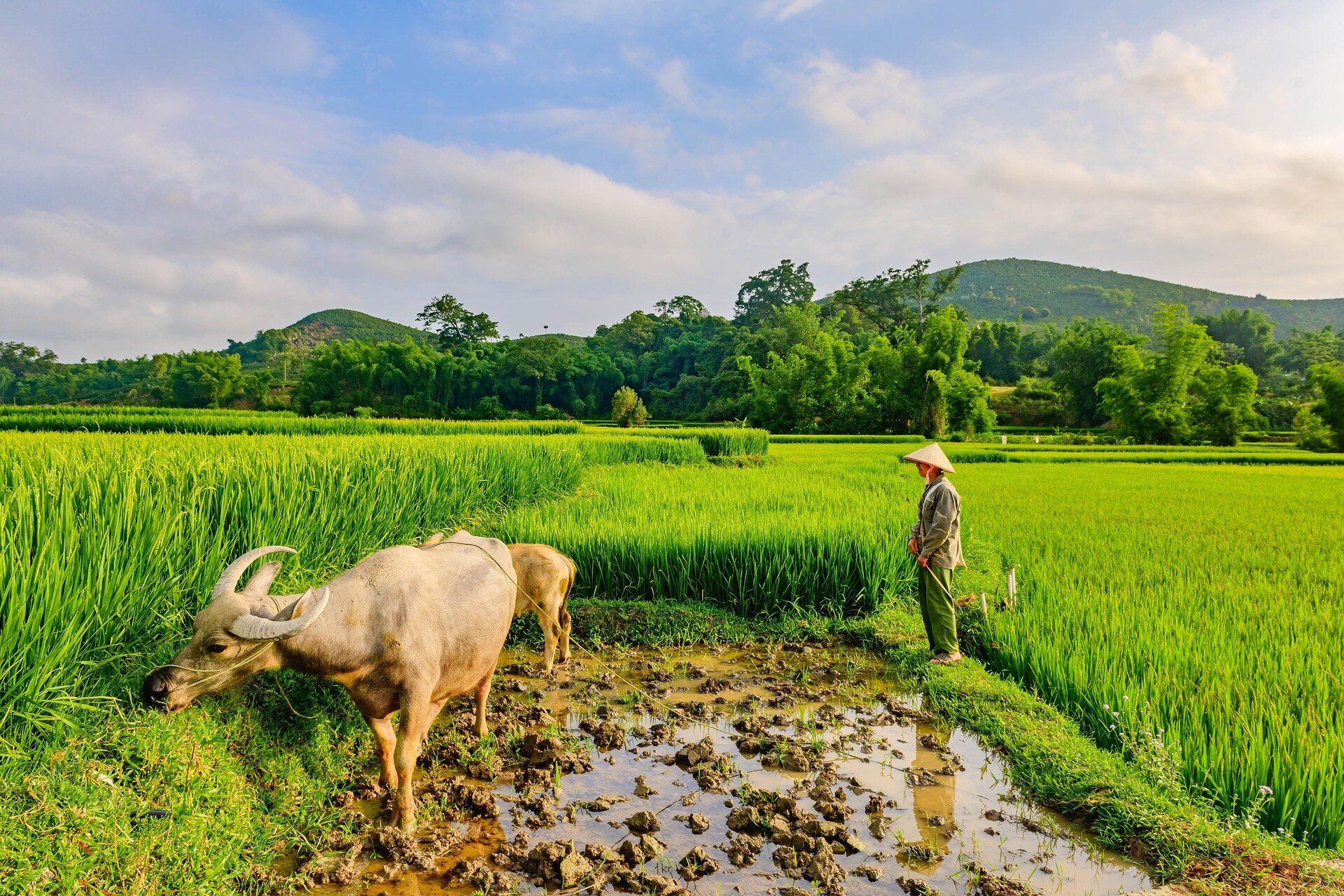 Learn Muang Xay’s rich past with expert guidance